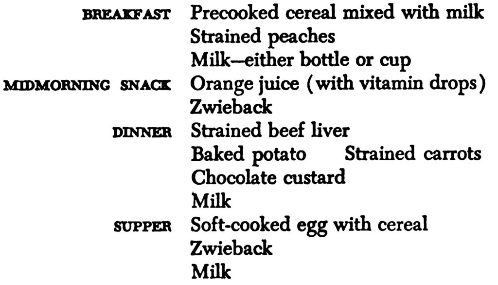 1-year-old's daily meal plan